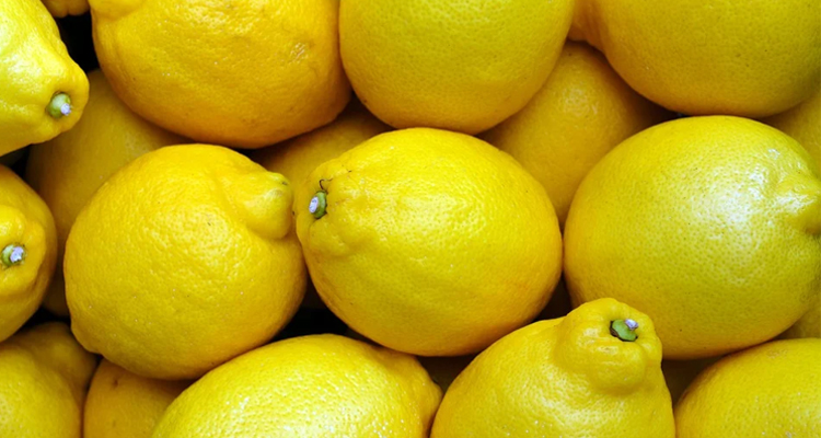 la-vida-secreta-de-los-limones