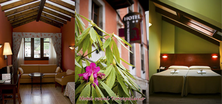 Ir a Imagen Hotel Torrepalacio