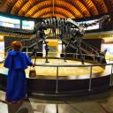 Imagen Día de la Mujer y la Niña en la Ciencia en el MUJA