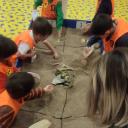 Imagen Excava y descubre