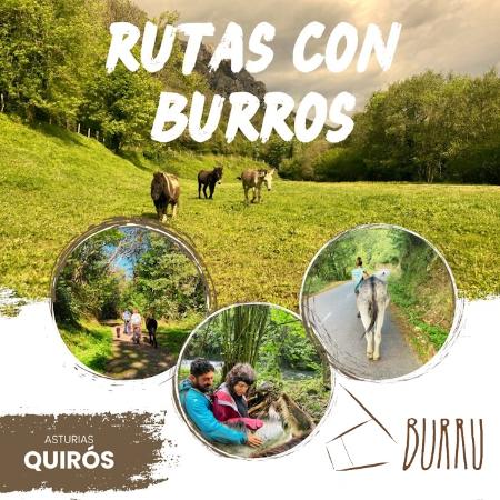 Rutas con los burritos de Asociación BURRU
