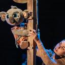 Imagen Bunji, la pequeña koala de Festuc Teatre