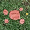 Imagen Huellas y rastros en el Parque