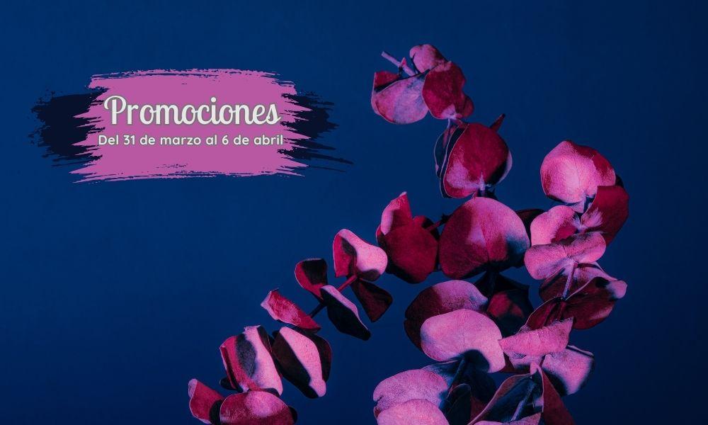 Go to Image Promociones semanales: del 31 de marzo al 6 de abril