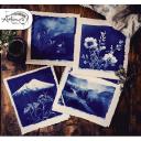 Imagen Taller de Cianotipia y antotipia