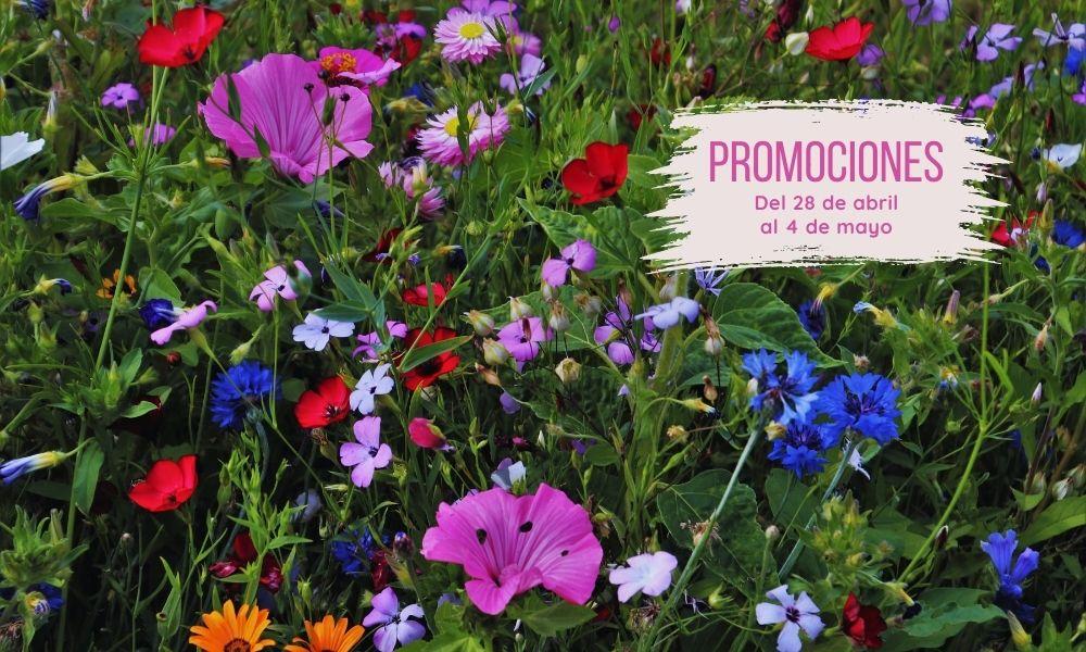 Go to Image Promociones semanales: del 28 de abril a 4 de mayo