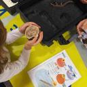 Imagen Busca en el Museo: el origen de la vida y los dinosaurio