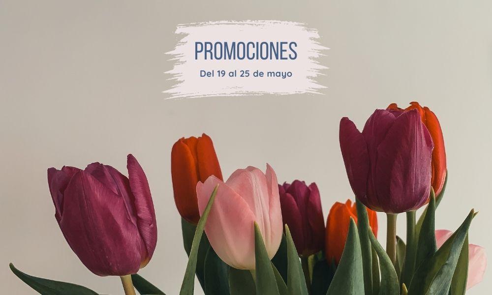 Ir a Imagen Promociones semanales: del 19 al 25 de mayo