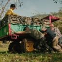 Imagen Cine. La gran manzana