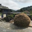 Imagen Mallega en el Museo