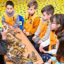 Image Excava y descubre