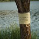 Imagen Cine. Turismo de guerra. De la guerra también se sale