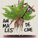 Imagen Cine. Ganadores del XXIV Avilés Acción