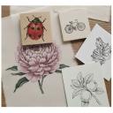 Imagen Transferencia de imágenes con Jardinera de Rotondas