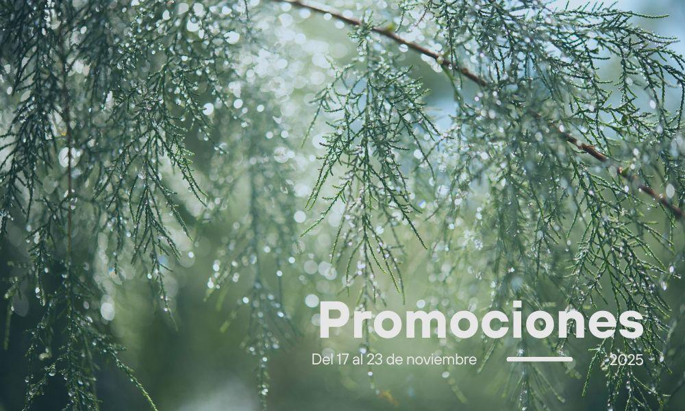 Imagen Promociones semanales: del 17 al 23 de noviembre