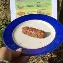 Imagen Viaje al país de la escatología