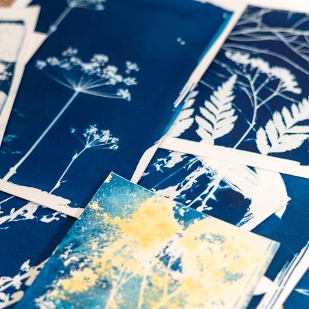 Taller de Cianotipia con Jardinera de Rotondas