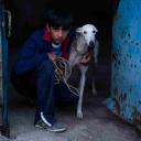 Imagen Cine. Ciudad sin sueño