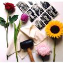 Imagen Taller de transferencia de imágenes + Hapa Zome