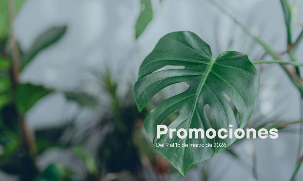 Imagen Promociones semanales: del 9 al 15 de marzo