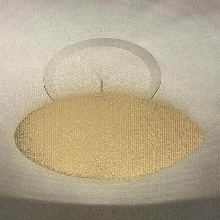 Ramón Isidoro. Intervención