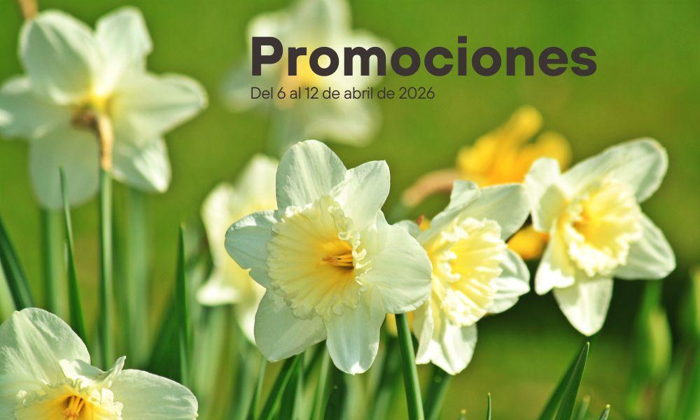 Imagen Promociones semanales: del 6 al 12 de abril