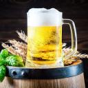 Imagen Taller de cerveza artesana
