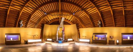 Image Permanent exposition