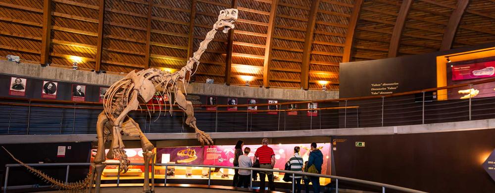 Image Individual Visit