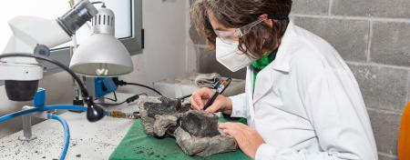 Image The Scientific Project