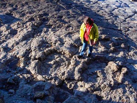 Image The Dinosaur Coast