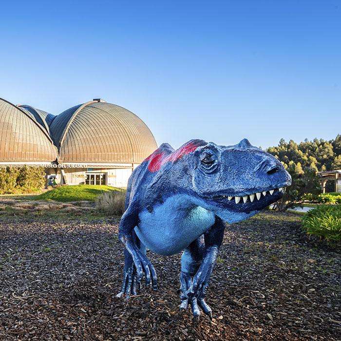 Image Garden and Play Area