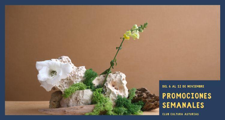 Ir a Imagen Promociones semanales: del 6 al 12 de noviembre