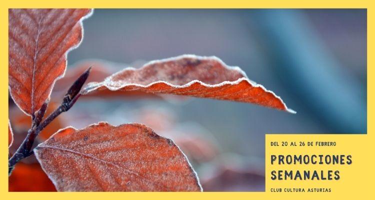 Ir a Imagen Promociones semanales: del 20 al 26 de febrero
