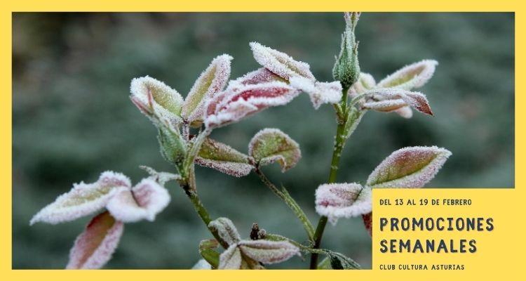 Ir a Imagen Promociones semanales: del 13 al 19 de febrero