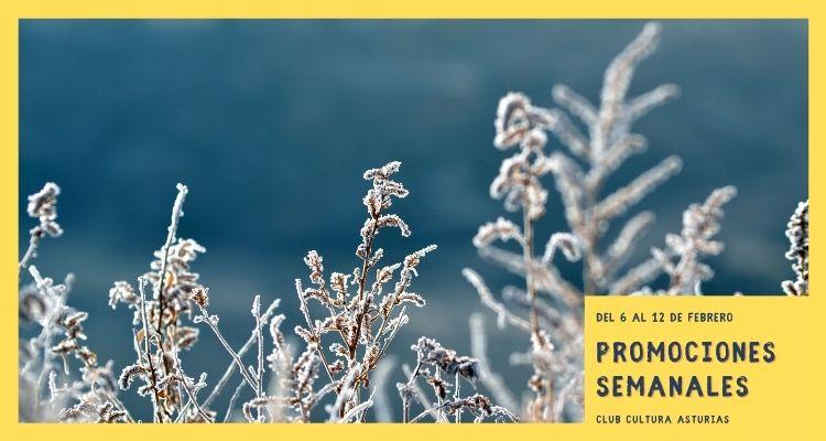 Ir a Imagen Promociones semanales: del 6 al 12 de febrero