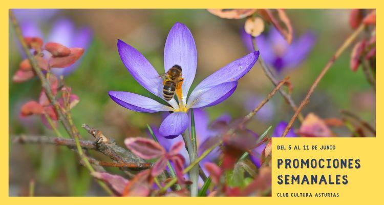 Ir a Imagen Promociones semanales: del 5 al 11 de junio