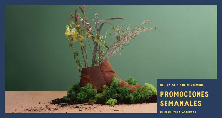 Ir a Imagen Promociones semanales: del 13 al 19 de noviembre