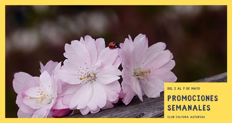 Go to Image Promociones semanales: del 2 al 7 de mayo