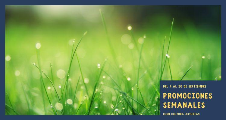 Ir a Imagen Promociones semanales: del 4 al 10 de septiembre