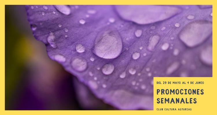 Ir a Imagen Promociones semanales: del 29 de mayo al 4 de junio