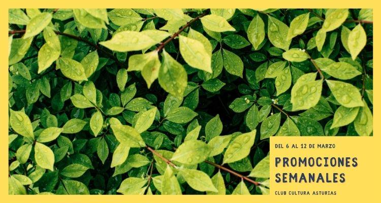 Go to Image Promociones semanales: del 6 al 12 de marzo