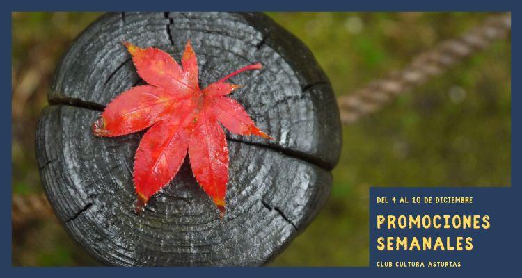 Ir a Imagen Promociones semanales: del 4 al 10 de diciembre