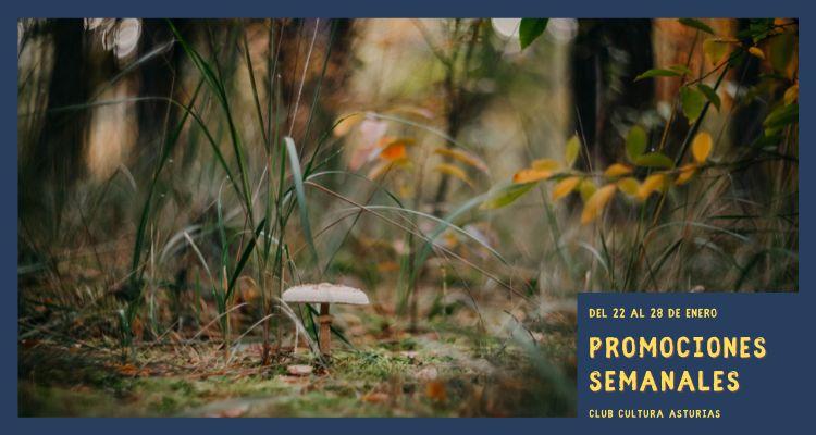 Ir a Imagen Promociones semanales: del 22 al 28 de enero