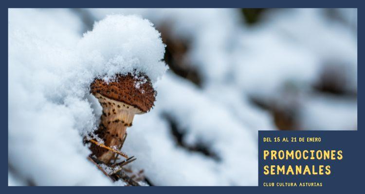 Ir a Imagen Promociones semanales: del 15 al 21 de enero