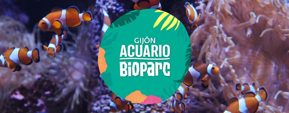 Imagen Bioparc Acuario de Gijón