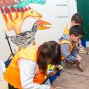 Imagen Excava y descubre