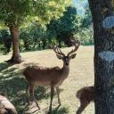 Imagen Prehistovisitas en el Parque
