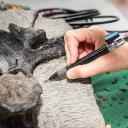 Imagen Taller de fósiles con el equipo científico del MUJA