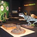 Imagen Viaje a lo largo del tiempo. 20 años del MUJA